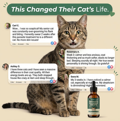 Parasite Cleanse Drops