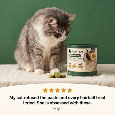 Freeze-Dried Cat Grass Treats for Hairball Relief