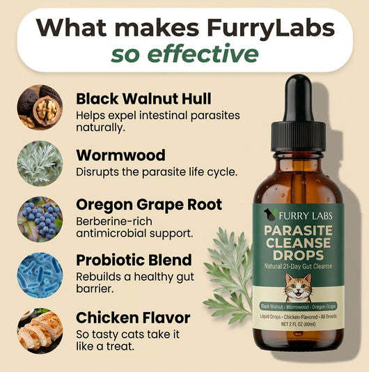 Parasite Cleanse Drops