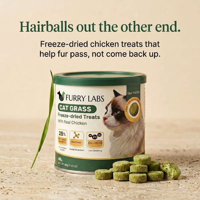 Freeze-Dried Cat Grass Treats for Hairball Relief