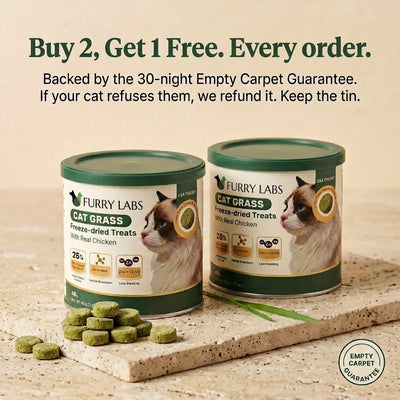 Freeze-Dried Cat Grass Treats for Hairball Relief