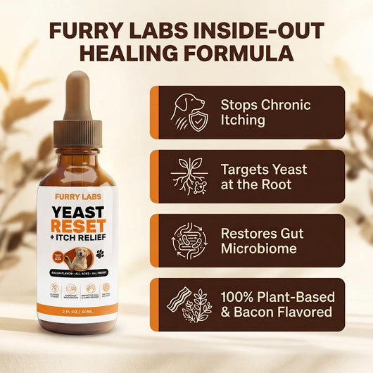 Yeast Reset + Itch Relief Drops