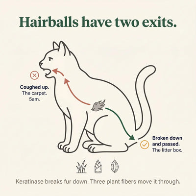 Freeze-Dried Cat Grass Treats for Hairball Relief