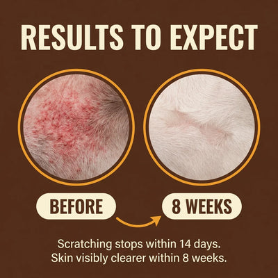 Yeast Reset + Itch Relief Drops