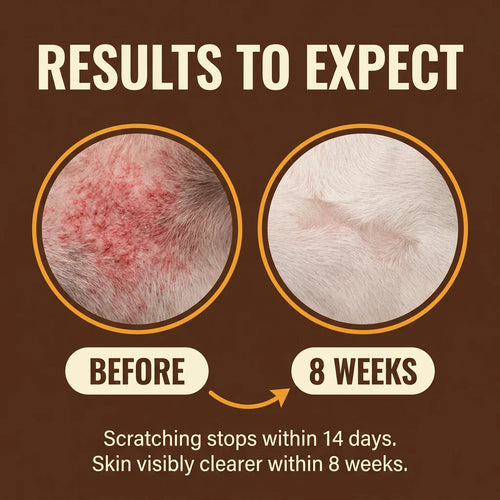 Yeast Reset + Itch Relief Drops