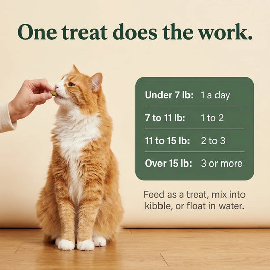 Freeze-Dried Cat Grass Treats for Hairball Relief