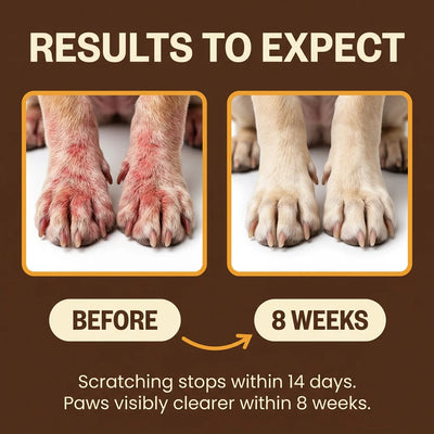 Yeast Reset + Itch Relief Drops